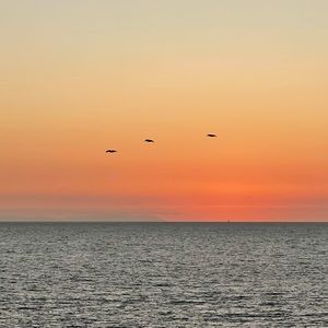 Meet your Posher, Armita